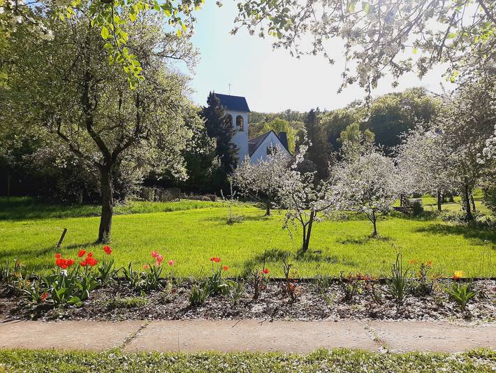 Zimmer für 2 Personen, mit Garten - 1
