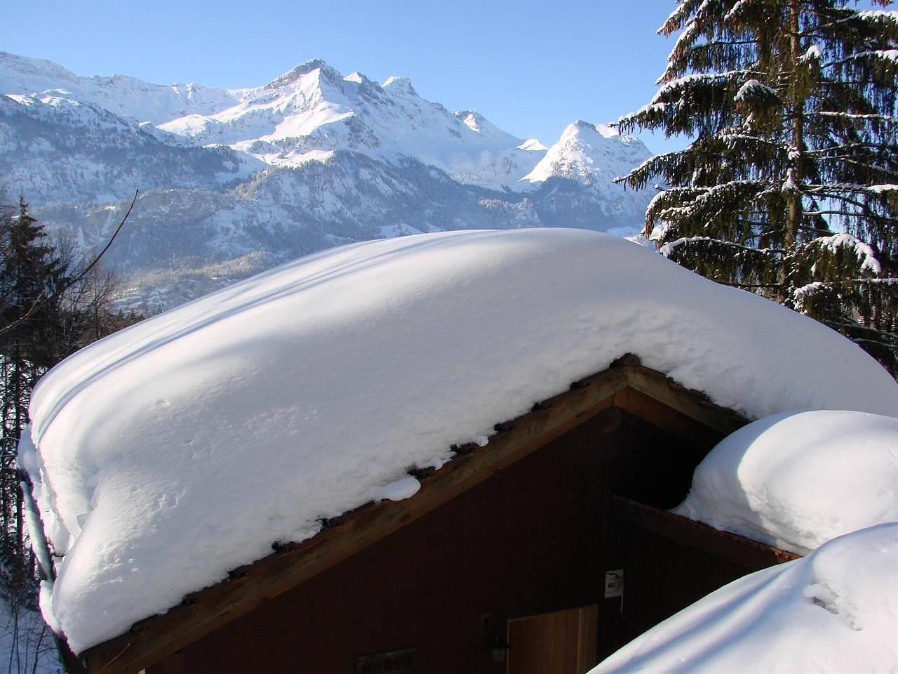 Ferienhaus "Am Bächli" mit Bergblick in Hasliberg, Berner Oberland