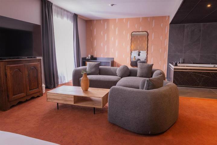 Hôtel pour 2 personnes, avec piscine et jardin, animaux acceptés à Colomiers - 4