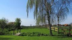 Ferienhaus für 2 Personen, mit Garten in Ostfriesland - 3