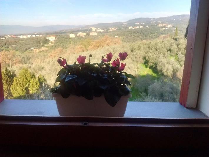 Chambre d’hôte pour 2 personnes, avec Terrasse et Jacuzzi ainsi que Jardin et Vue à Lamporecchio