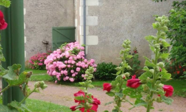 Gästezimmer 'Chambres Framboise' mit Gemeinschaftsgarten und WLAN in Cheillé, Loire-Tal