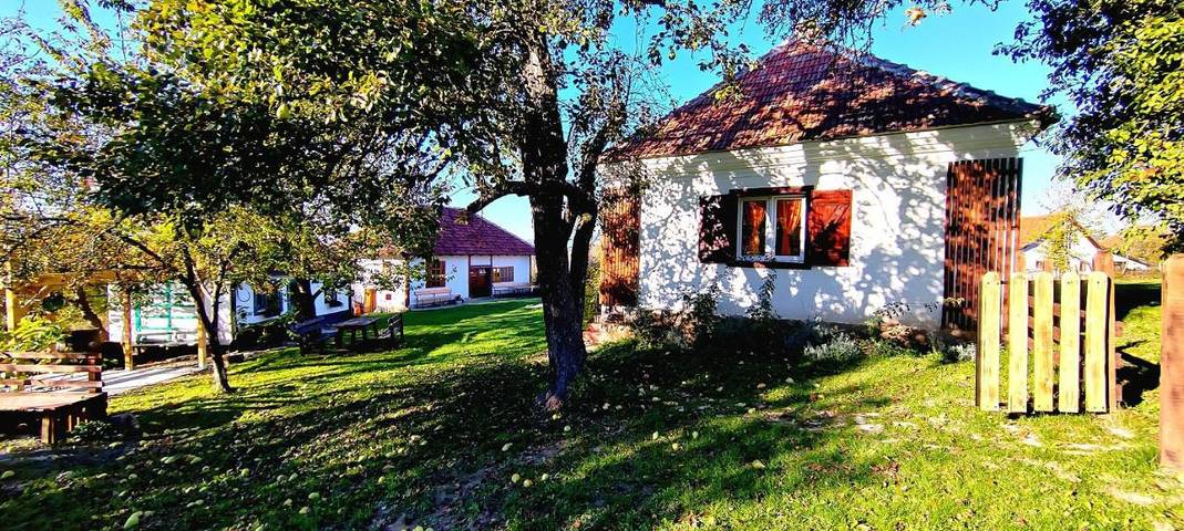 Location de vacances pour 4 personnes, avec jardin et vue à Kosjerić - 3