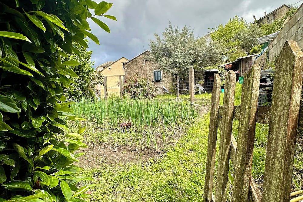 Location maison de village 4 pers in Campile, Arrondissement de Corte