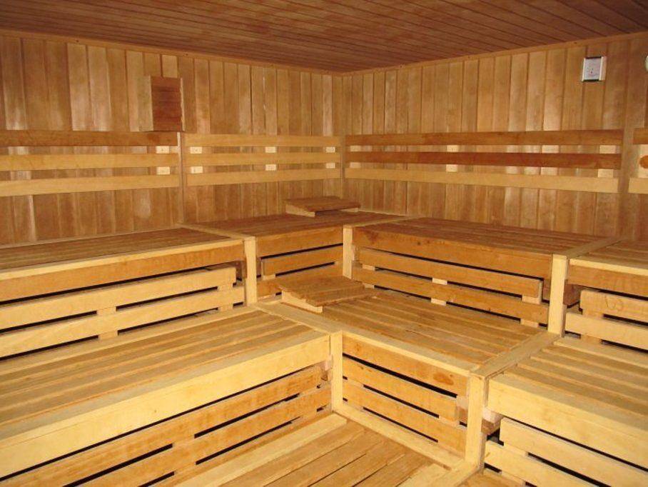Ganze Wohnung, Komfortables Appartement mit Bergblick, Balkon, Pool und Sauna in Braunlage Hohegeiß in Hohegeiß, Harzvorland