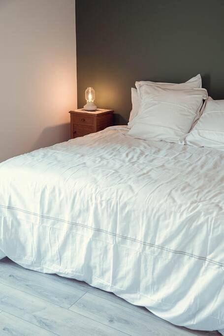 Location de vacances pour 6 personnes, avec jardin ainsi que terrasse et vue à Jau-Dignac-et-Loirac - 2