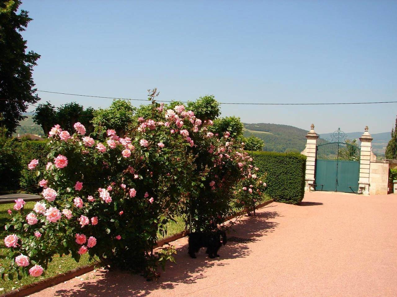 Gentilhommière de Collonges in Prissé, Région de Mâcon