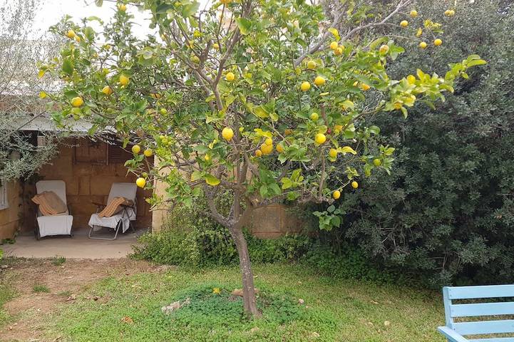 Holiday home for 4 people, with garden and terrace - 1