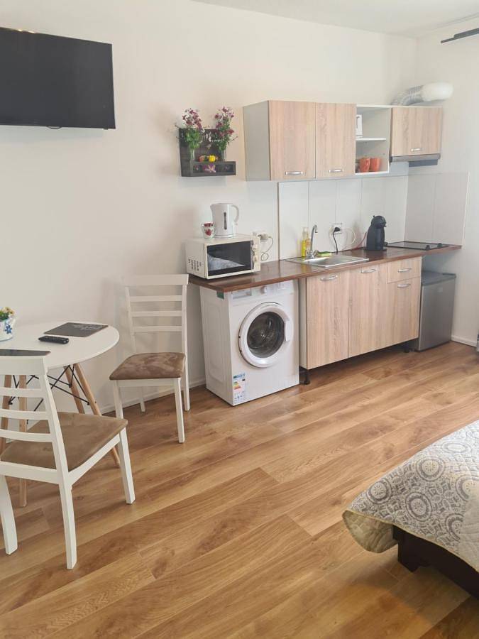 Maison d’hôte pour 3 personnes, avec terrasse et jardin dans Balotești - 4