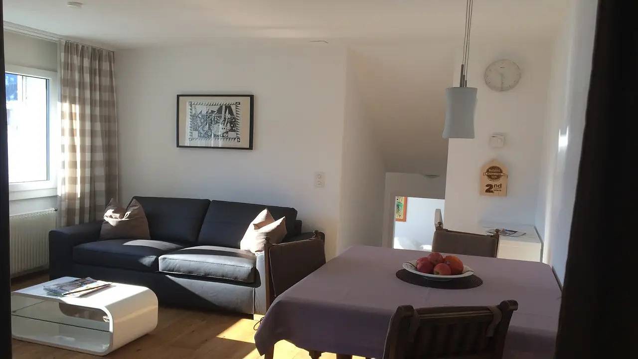 Ganze Ferienwohnung, Ferienwohnung für 3 Personen (60 m²) in Segnas in Disentis, Surselva