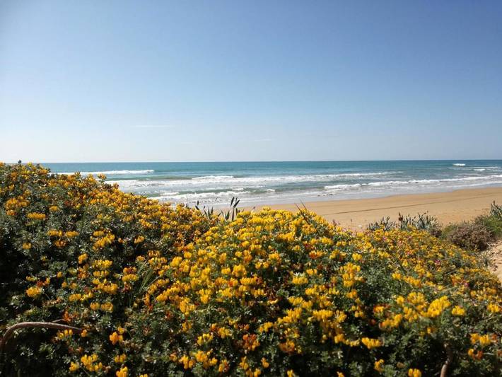 Location de vacances pour 5 personnes, avec jardin, animaux acceptés à Tre Fontane - 4