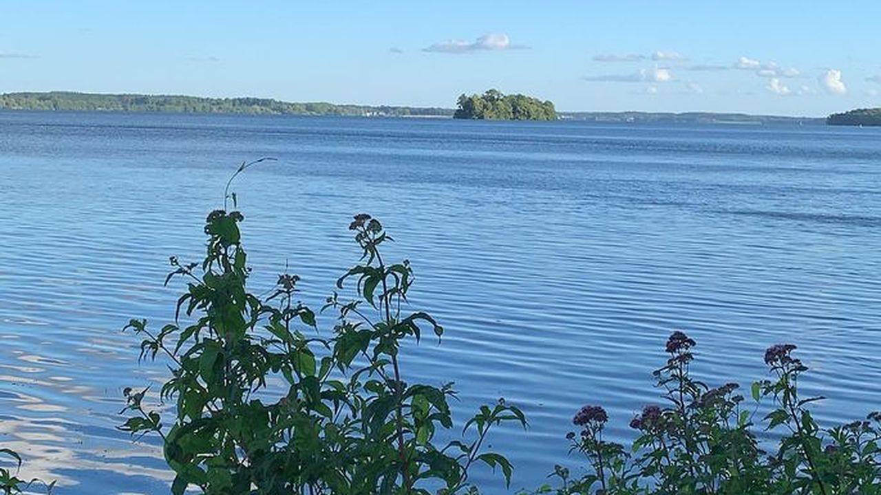 Ganze Ferienwohnung, Ferienwohnung für 2 Personen (26 m²) in Bosau in Bosau, Ostholstein