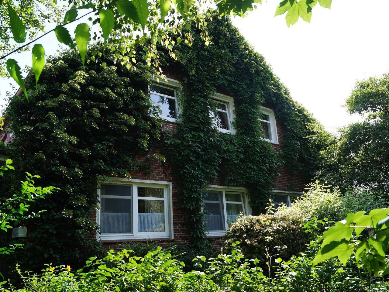 Ferienhof Schatteburg, 95098 - Ferienhof Schatteburg in Rhauderfehn, Emsland