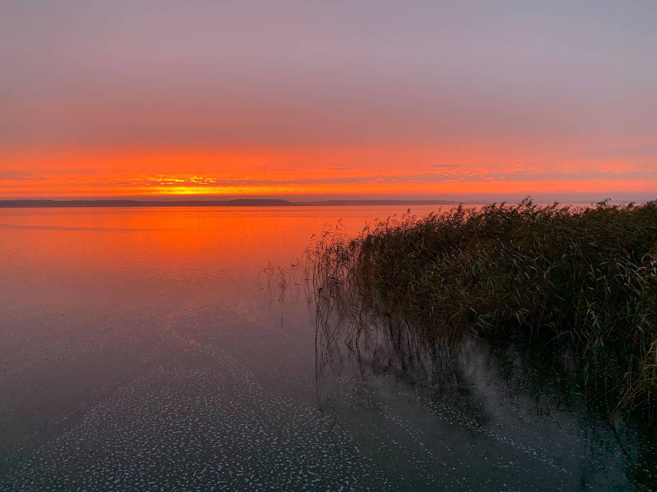 Watermark Usedom - Traumhaus direkt am Wasser mit eigener Badestelle - Haus Woge in Rankwitz, Usedom