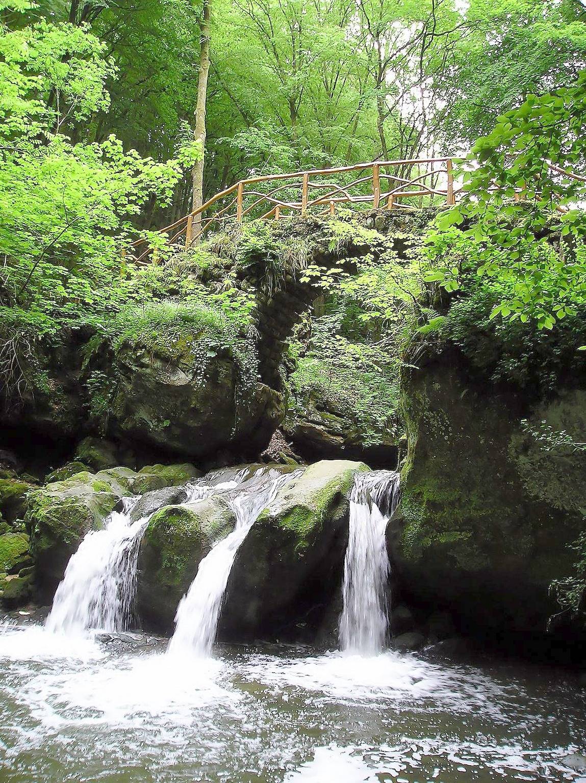 5-Bettwohnung Hunnenkopf in Kruchten, Eifelkreis Bitburg-Prüm
