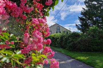 Gîte pour 5 personnes, avec terrasse et jardin, animaux acceptés à Bellefontaine (Vosges)