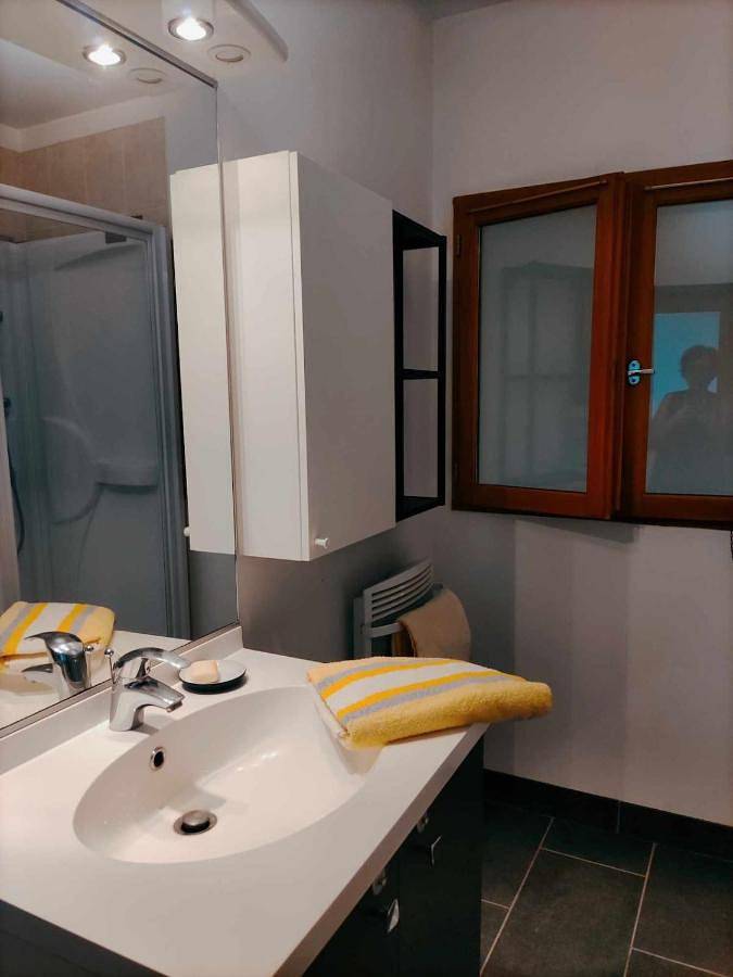 Location de vacances pour 6 personnes, avec terrasse, animaux acceptés dans Écrouves - 4