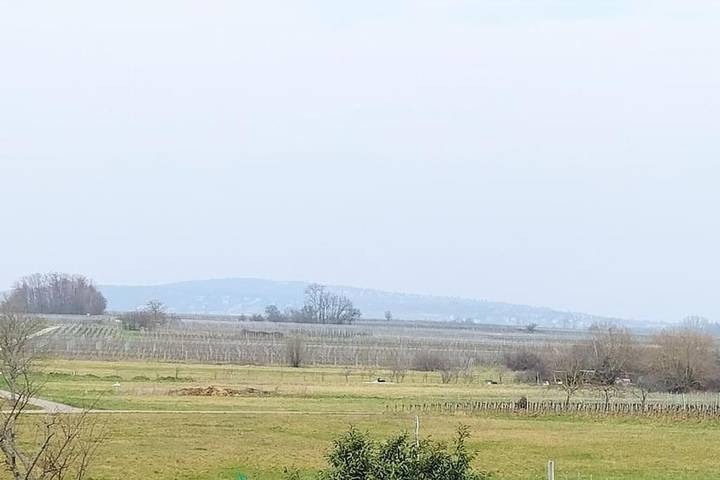Gîte pour 2 personnes, avec jardin et terrasse, animaux acceptés à Gertwiller - 3