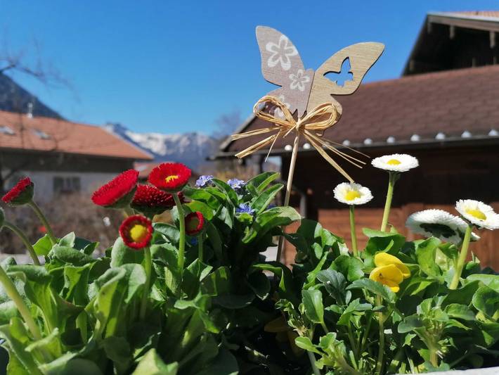 Ferienwohnung für 3 Personen, mit Balkon und Terrasse sowie Garten in Bayrischzell - 4