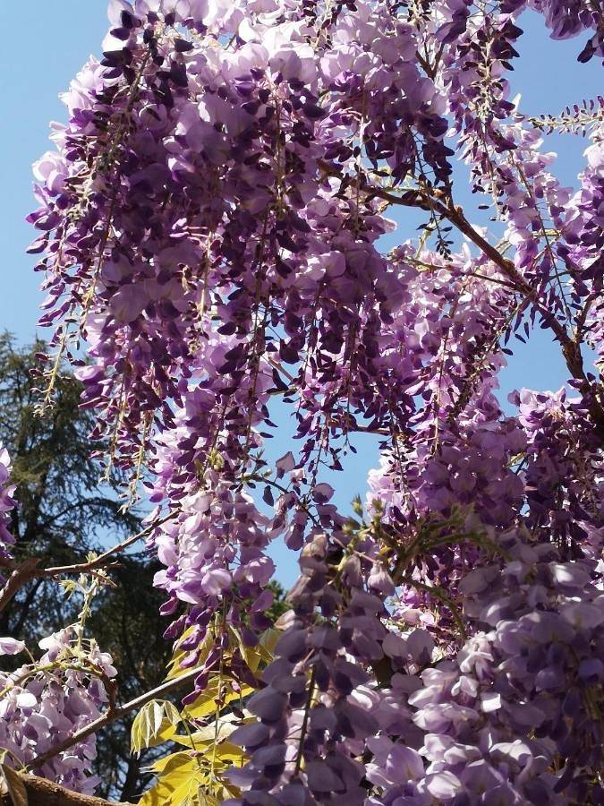 Location de vacances pour 2 personnes, avec jardin à Le Vigan - 2