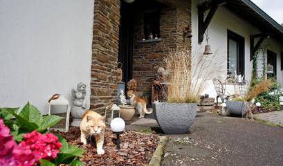 Cottage pour 2 personnes, avec vue et jardin à Jalhay