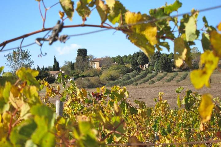 Location de vacances pour 5 personnes, avec vue ainsi que piscine et jardin, animaux acceptés à Raissac-sur-Lampy - 4