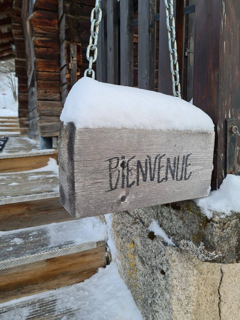 Appartement dans chalet au pied des pistes in Notre-Dame-de-Bellecombe, Région d'Albertville