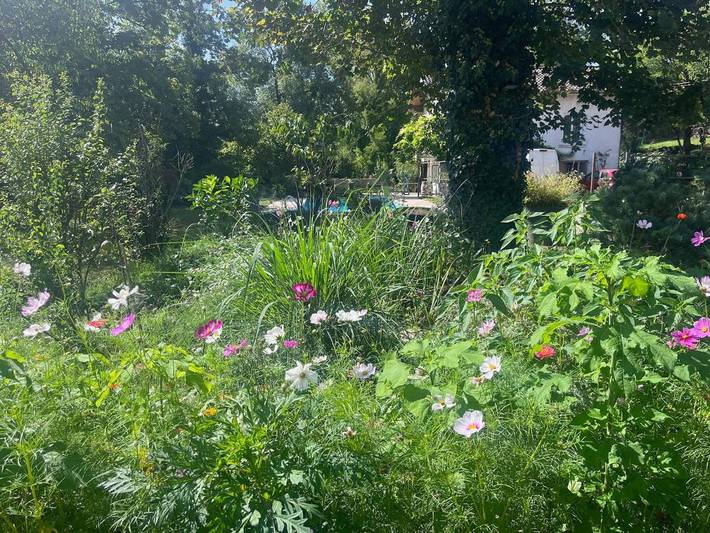Chambre d’hôte pour 12 personnes, avec jardin ainsi que vue et piscine dans l' Ain - 4
