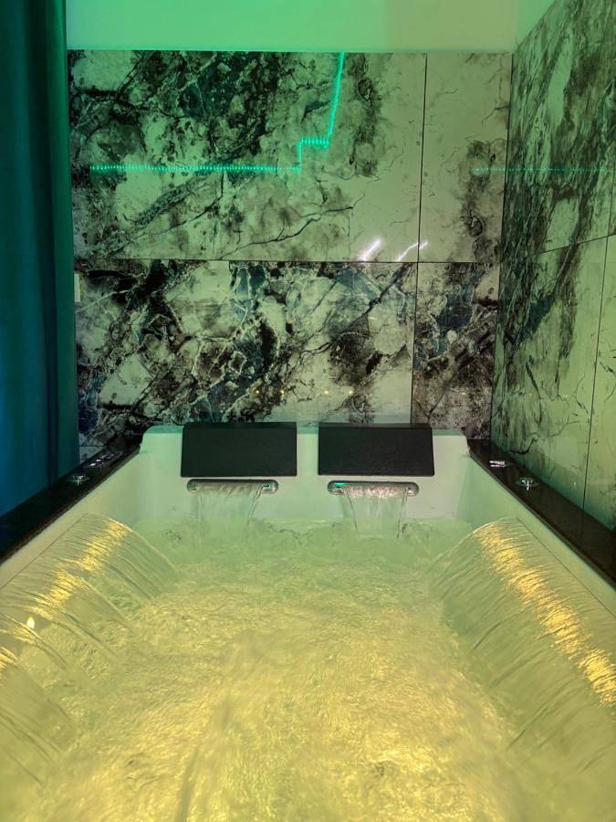 Gîte pour 2 personnes, avec jardin ainsi que jacuzzi et sauna à Saintry-sur-Seine - 4