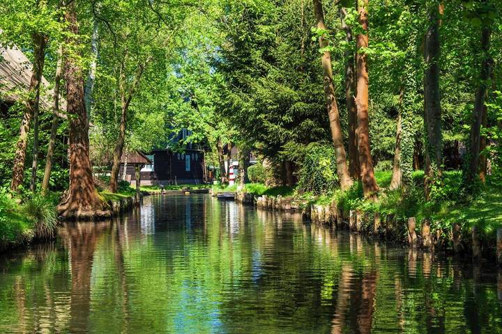 Camping für 4 Personen, mit Terrasse im Spreewald - 3