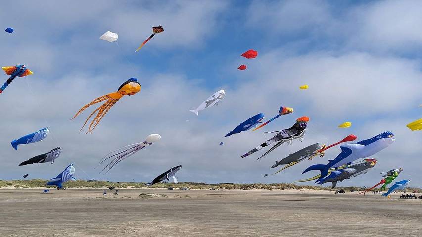 Ferienhaus für 5 Personen, mit Terrasse in Fanø Bad - 2