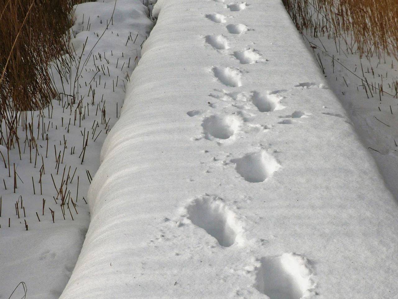 Ferienwohnung für 5 Personen in Seedorf (Sellin), Sellin