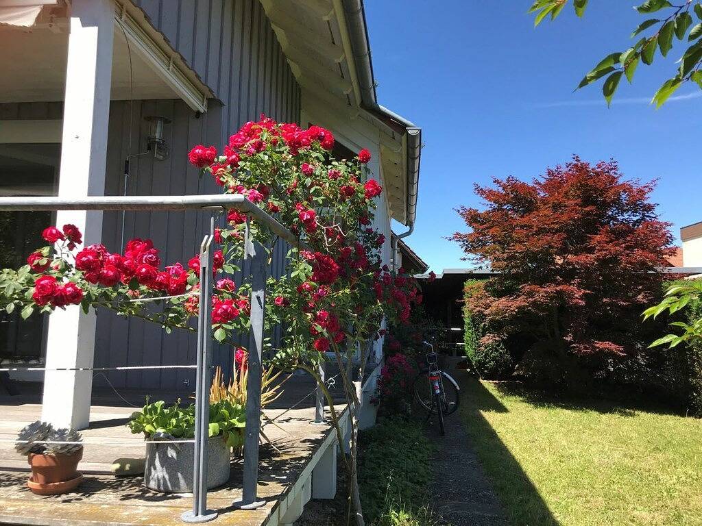 Seerose in Salem||Salem in Salem, Region Bodensee-Oberschwaben
