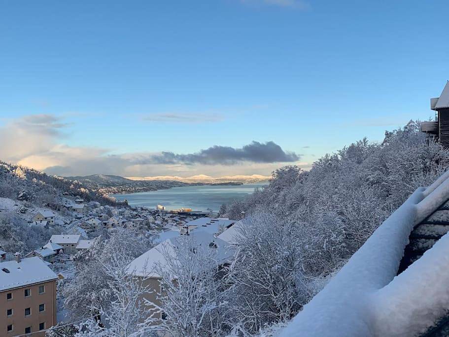 Cosy house with sunny terrace, garden and fjord view in Årstad, Bergen