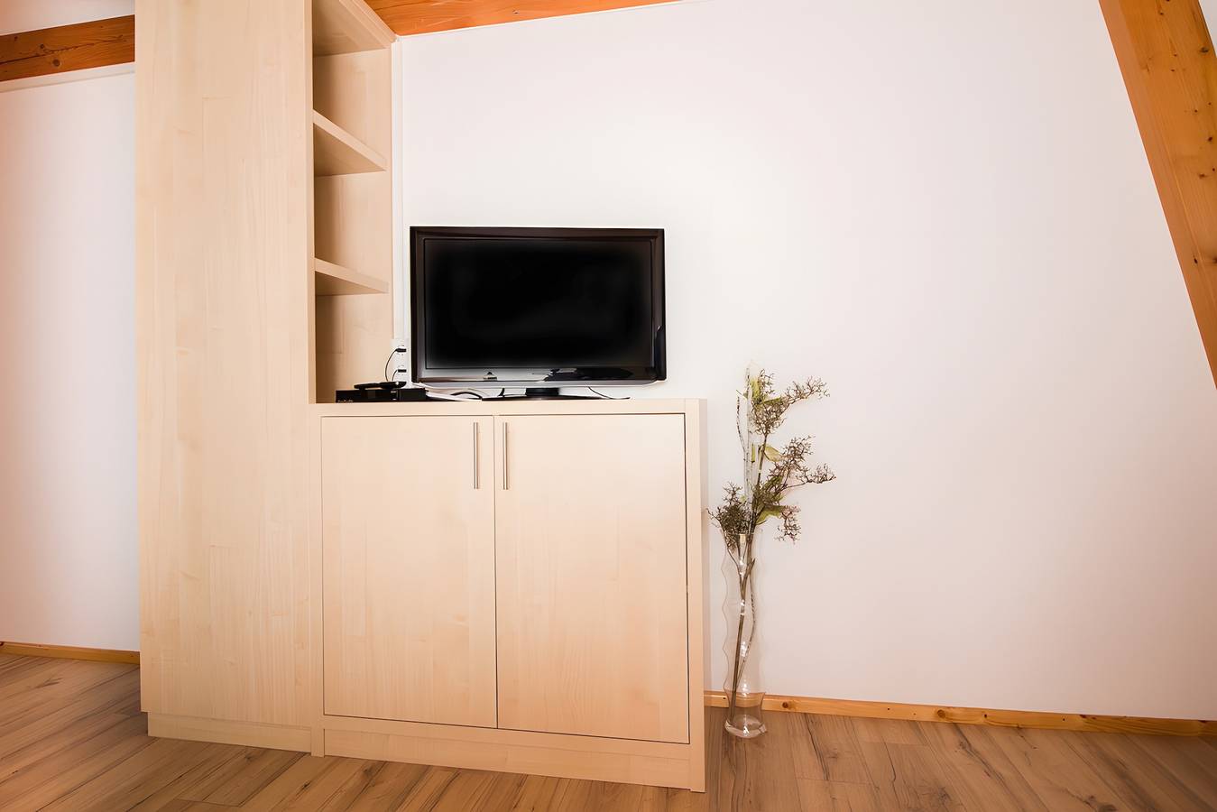 Entire studio, Apartment '30 sqm, 1 Living-Sleeping Room' with Balcony and Wi-Fi in Radolfzell am Bodensee, Landkreis Konstanz