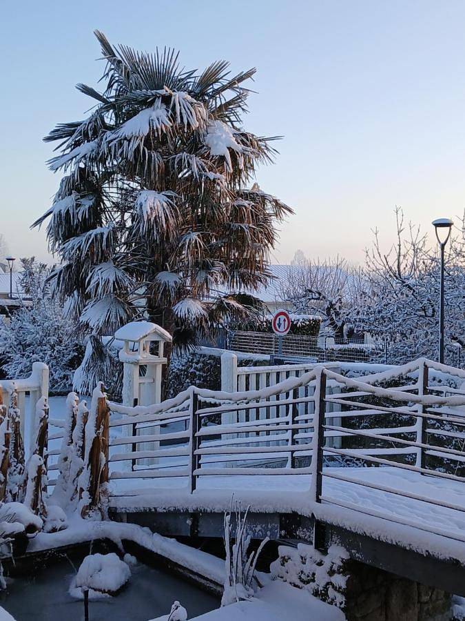 Location de vacances pour 2 personnes, avec jardin et jacuzzi ainsi que terrasse et piscine à Mortagne-sur-Sèvre - 4