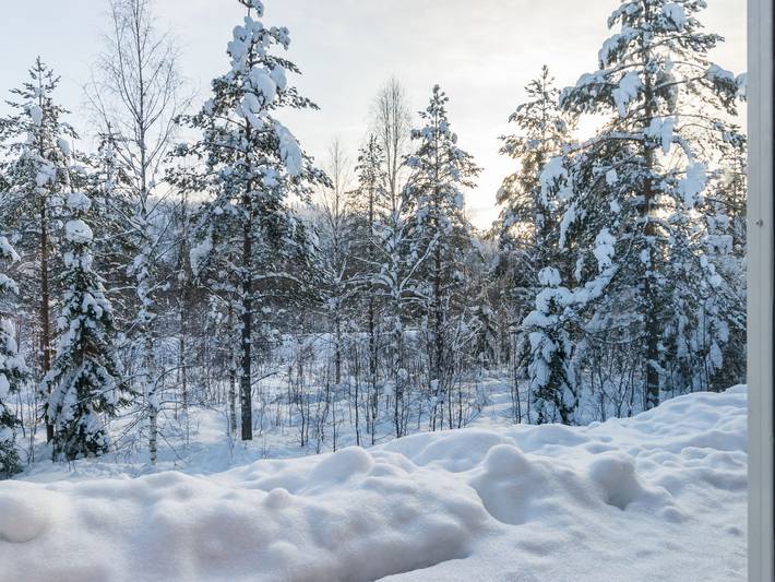 Villa oka in Ukkohalla, Kainuu
