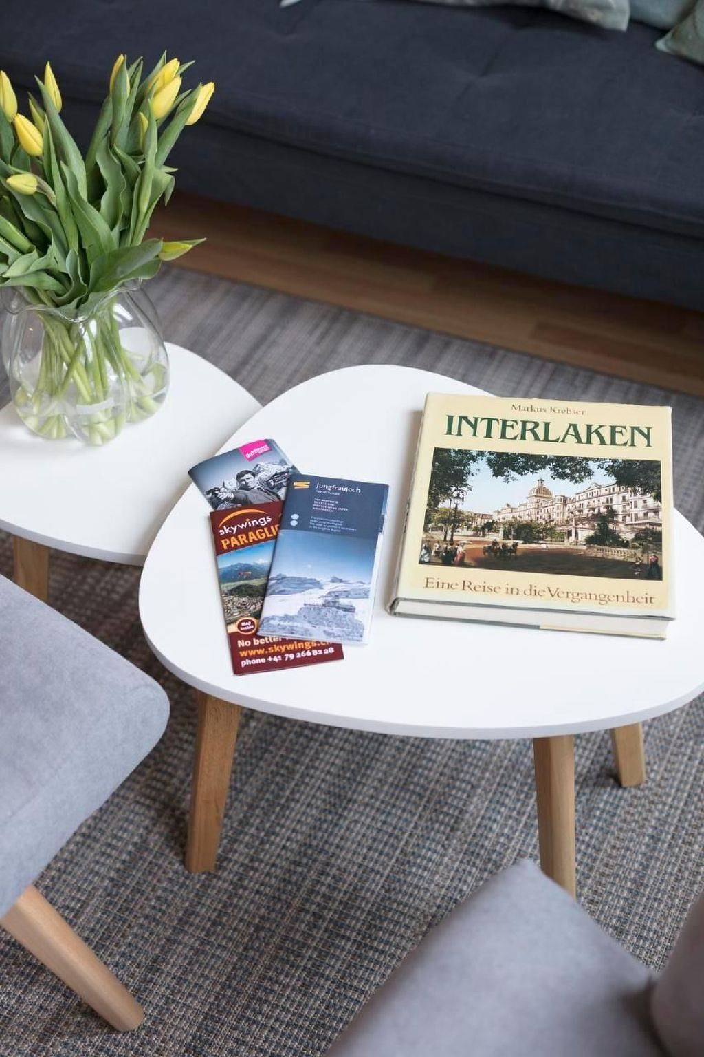 Ganze Wohnung, Loft Apartment "Henrik" Höhenmatte in Interlaken, Thunersee