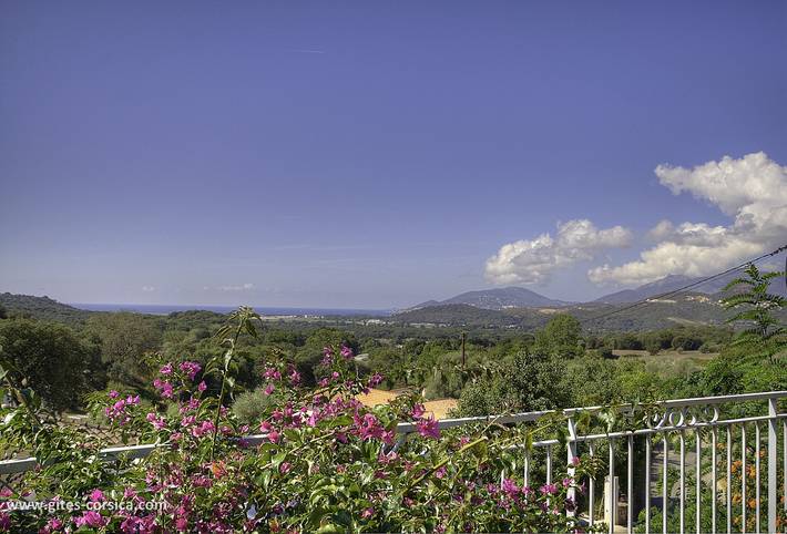 Gîte für 4 Personen, mit Terrasse und Garten sowie Ausblick auf Korsika - 4