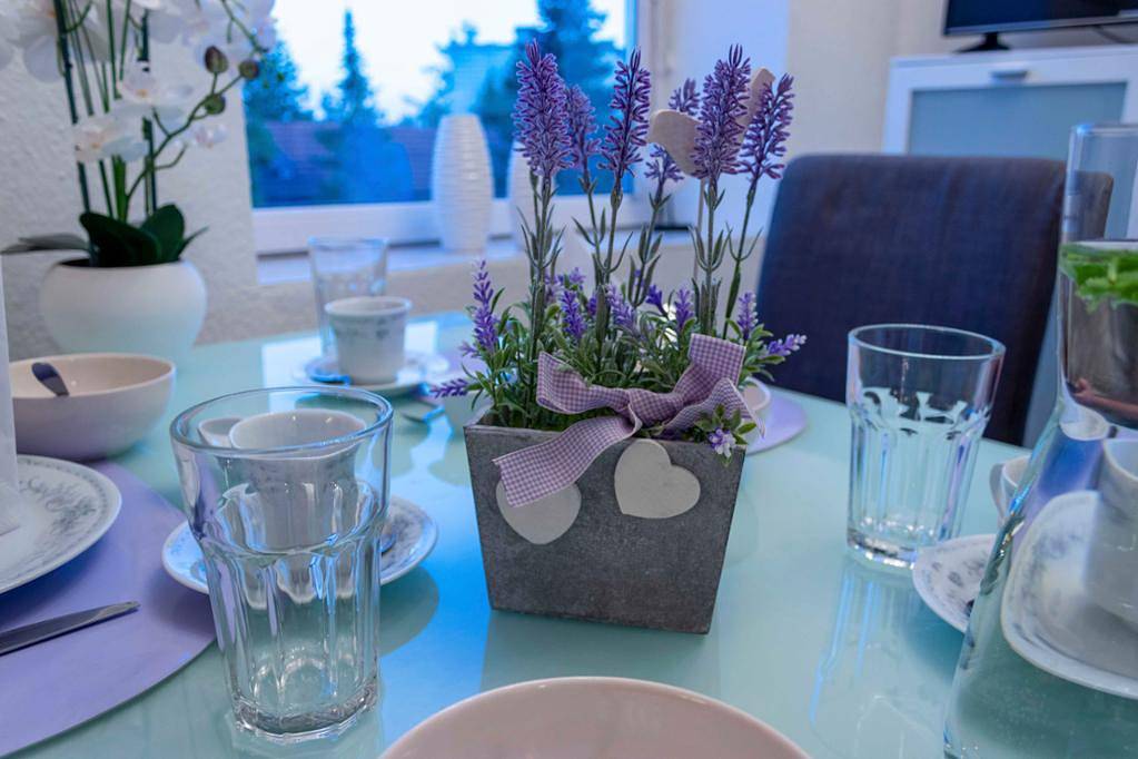 Entire holiday apartment, Casa Lauda - Studio- Appartment in Bad Vöslau, Vienna Woods