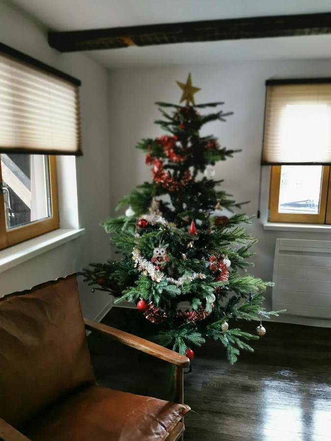 Gîte pour 8 personnes, avec jacuzzi et jardin, animaux acceptés à Kirrwiller - 4