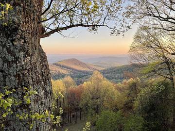 Chalet for 18 Guests in Roaring Gap, North Carolina, Picture 4