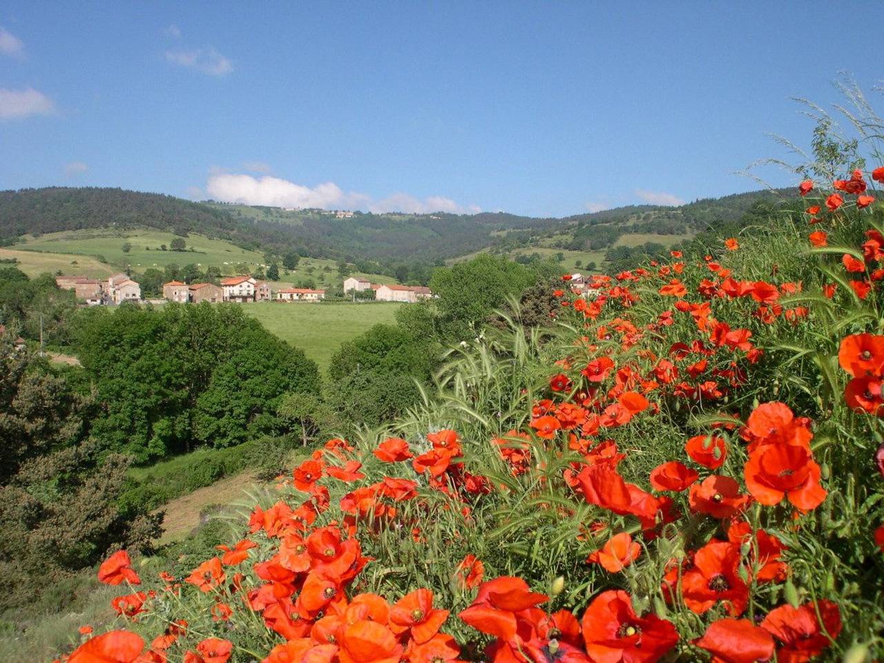 Casa pintoresca con terraza y Bbq, tranquilidad cerca de Langeac in Langeac, Macizo Central