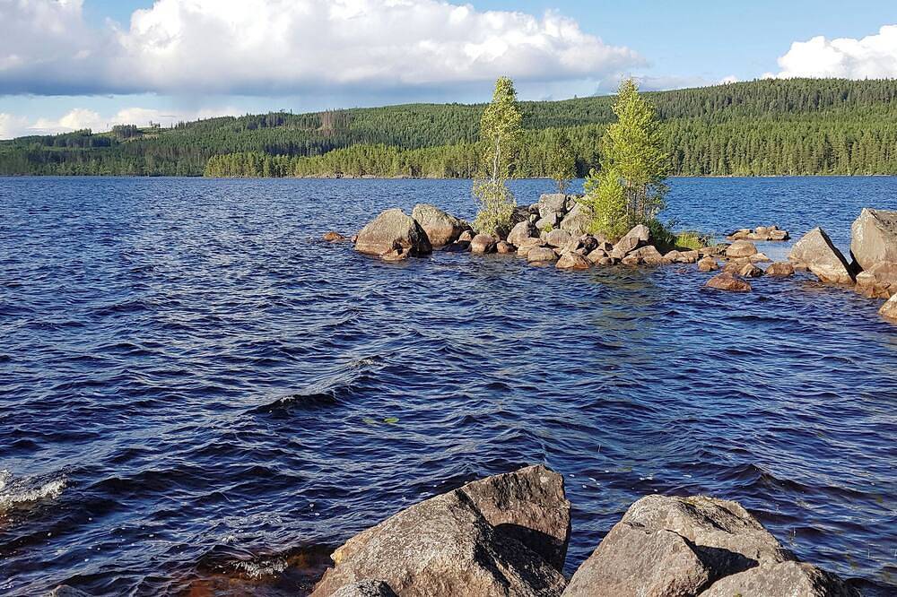 Hus Klarälven am Fluß Klarälven ideal für Familien, Business, haustierfreundlich in Värmland