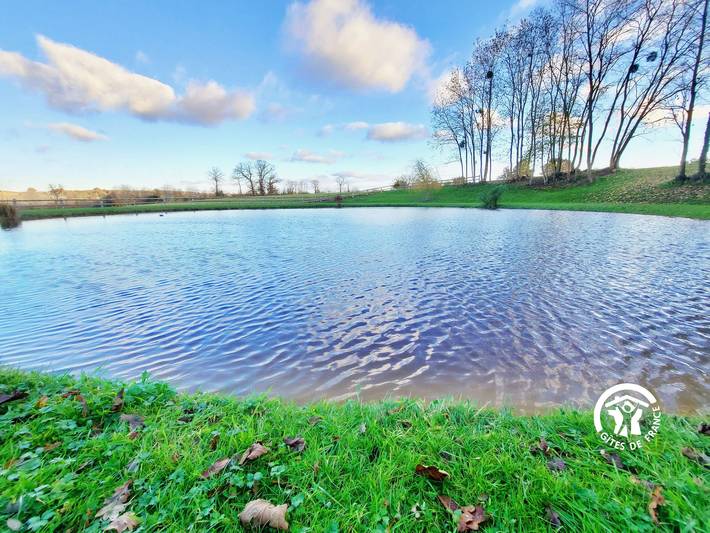 Gîte pour 4 personnes, avec jardin ainsi que terrasse et jacuzzi dans Mayenne - 4