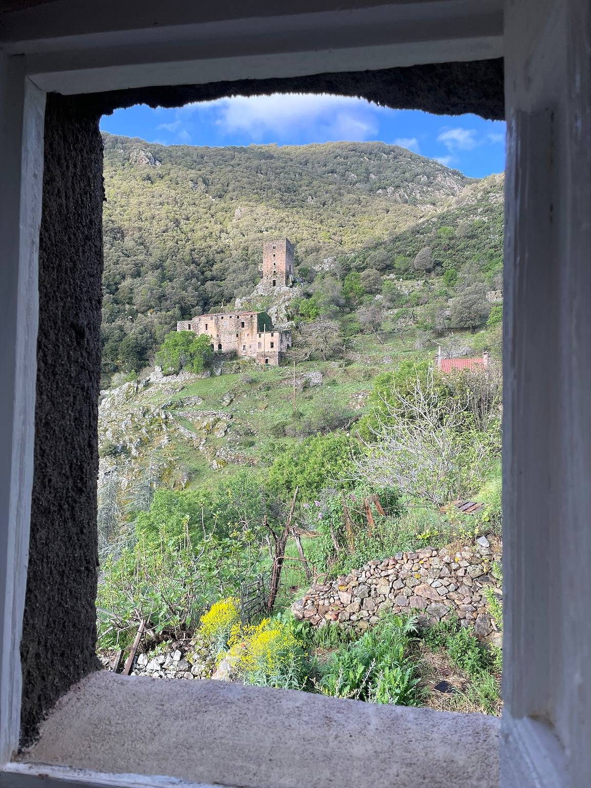 Appartement entier, Lortu vivu in Castifao, Parc naturel régional de Corse