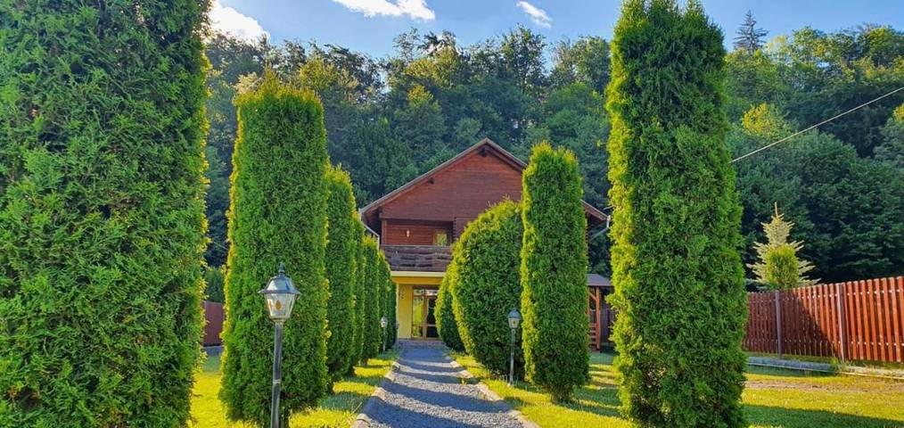 Location de vacances pour 10 personnes, avec jardin et vue, animaux acceptés dans Mureș