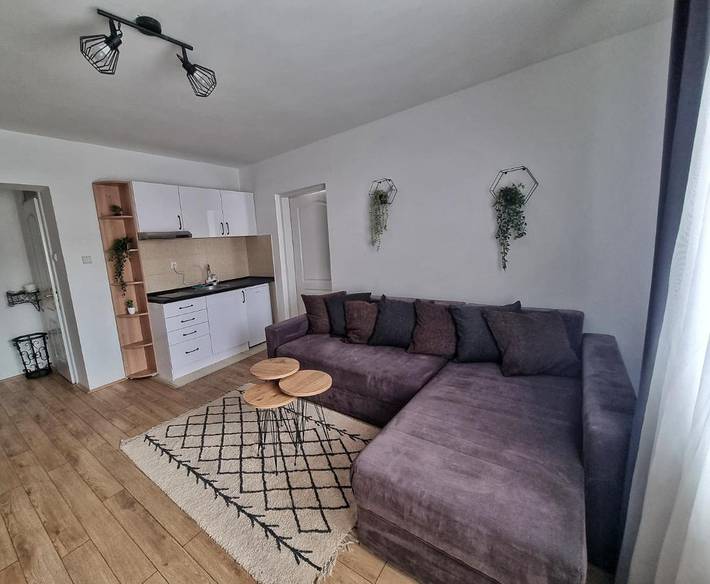 Location de vacances pour 2 personnes, animaux acceptés à Novi Sad - 3
