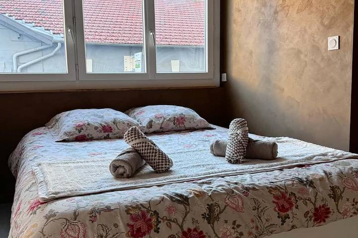 Entire apartment, Beautiful, bright 59-square-meter apartment in the heart of Bellevue. in Saint-Étienne, Pilat Regional Nature Park