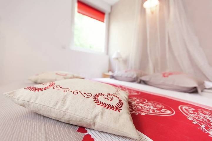 Gîte pour 10 personnes, avec terrasse ainsi que piscine et jardin à Raon-l'Étape - 3